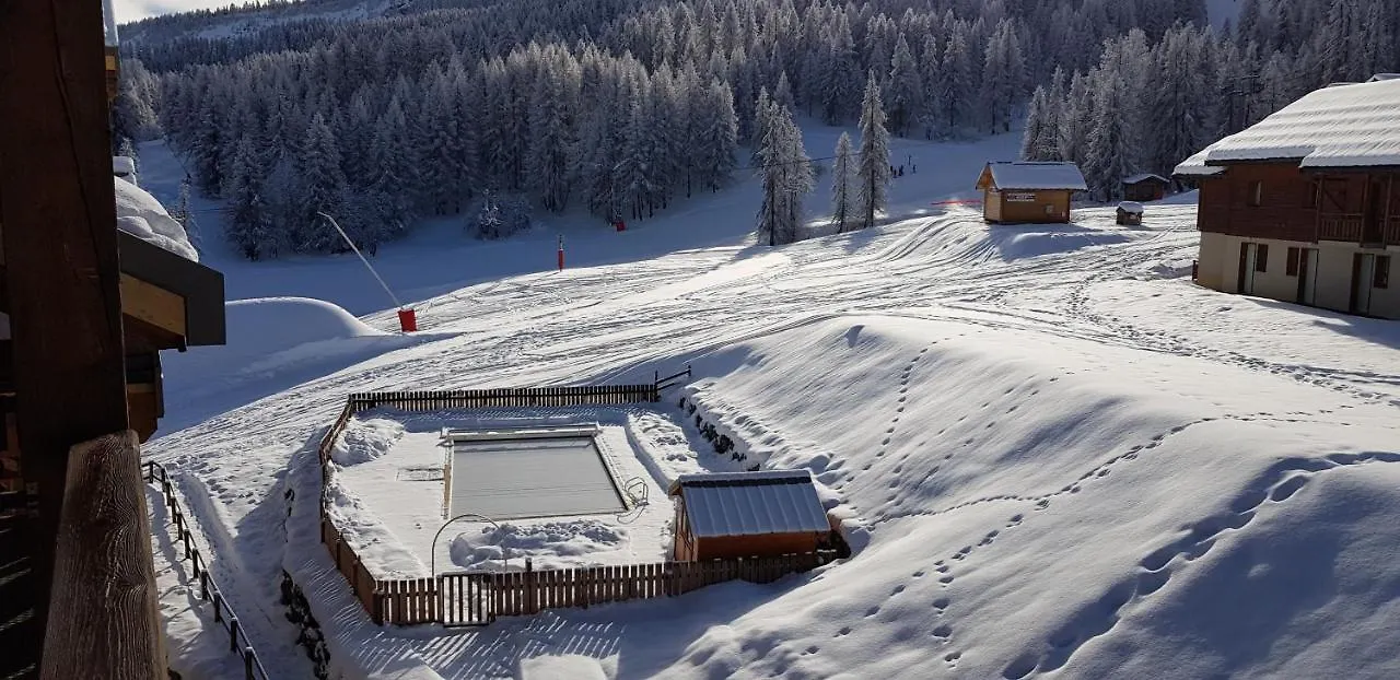 Le Skisun - Massif Et Parc National Des Ecrins - Puy Saint Vincent 1800 Puy-Saint-Vincent 0*,  France